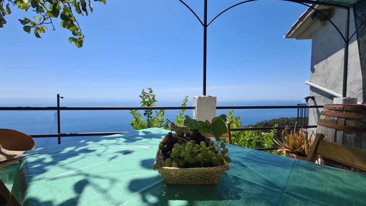 شقة Sunset - Homy 5 Terre Retreat Biassa المظهر الخارجي الصورة