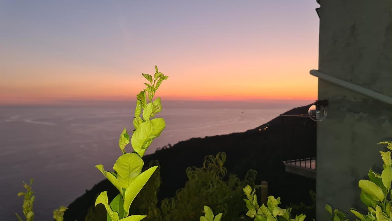 شقة Sunset - Homy 5 Terre Retreat Biassa المظهر الخارجي الصورة